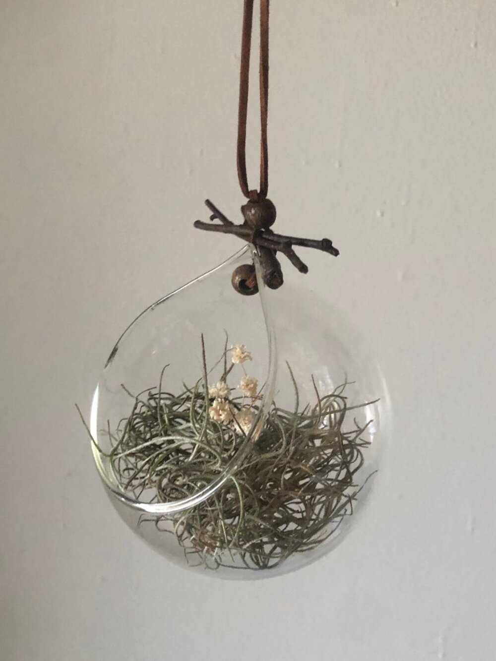 Mini Teardrop Glass Hanging Succulent Vase